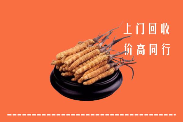 高价求购：酒泉市瓜州县回收散虫草