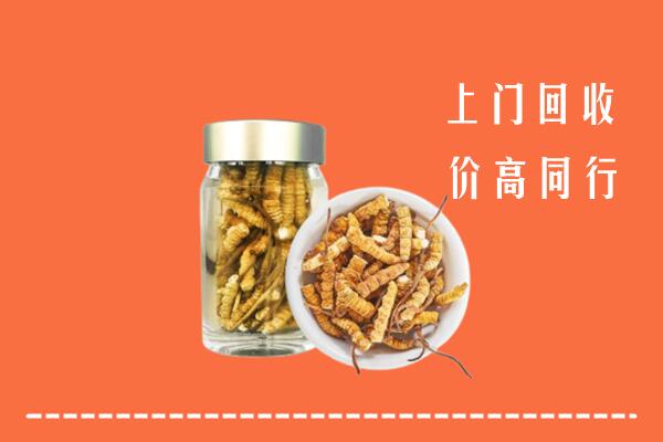 酒泉市瓜州县回收冬虫夏草
