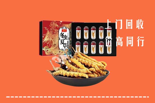 酒泉市瓜州县回收虫草